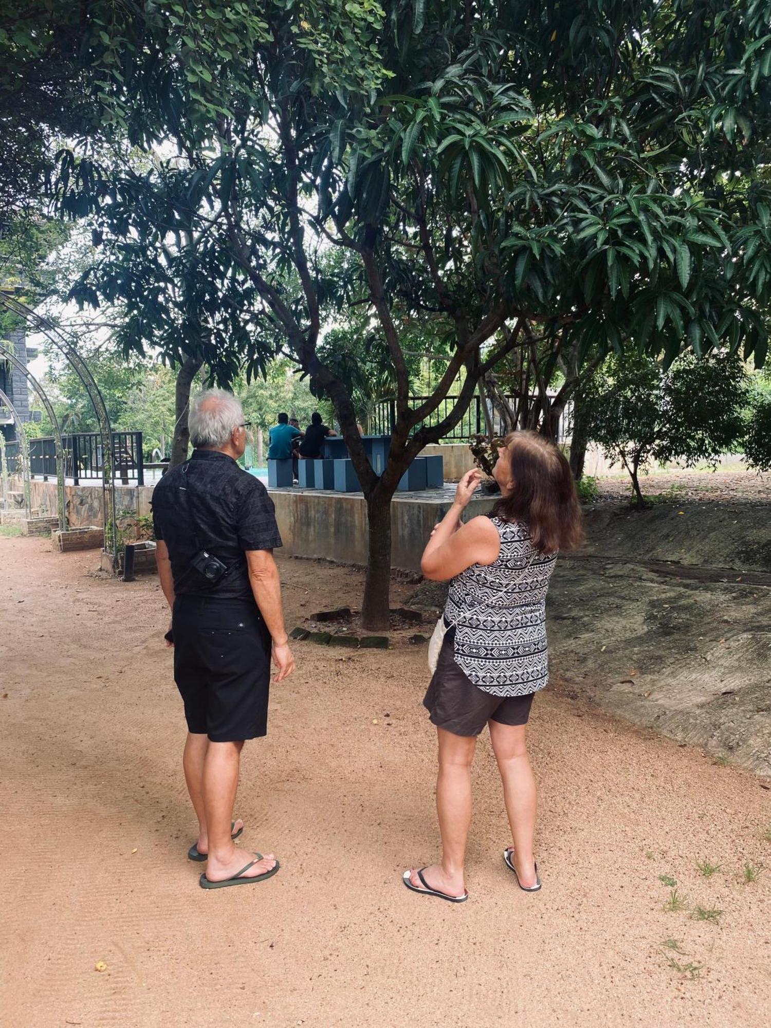 דמבולה Sigiriya Kingdom Resort מראה חיצוני תמונה