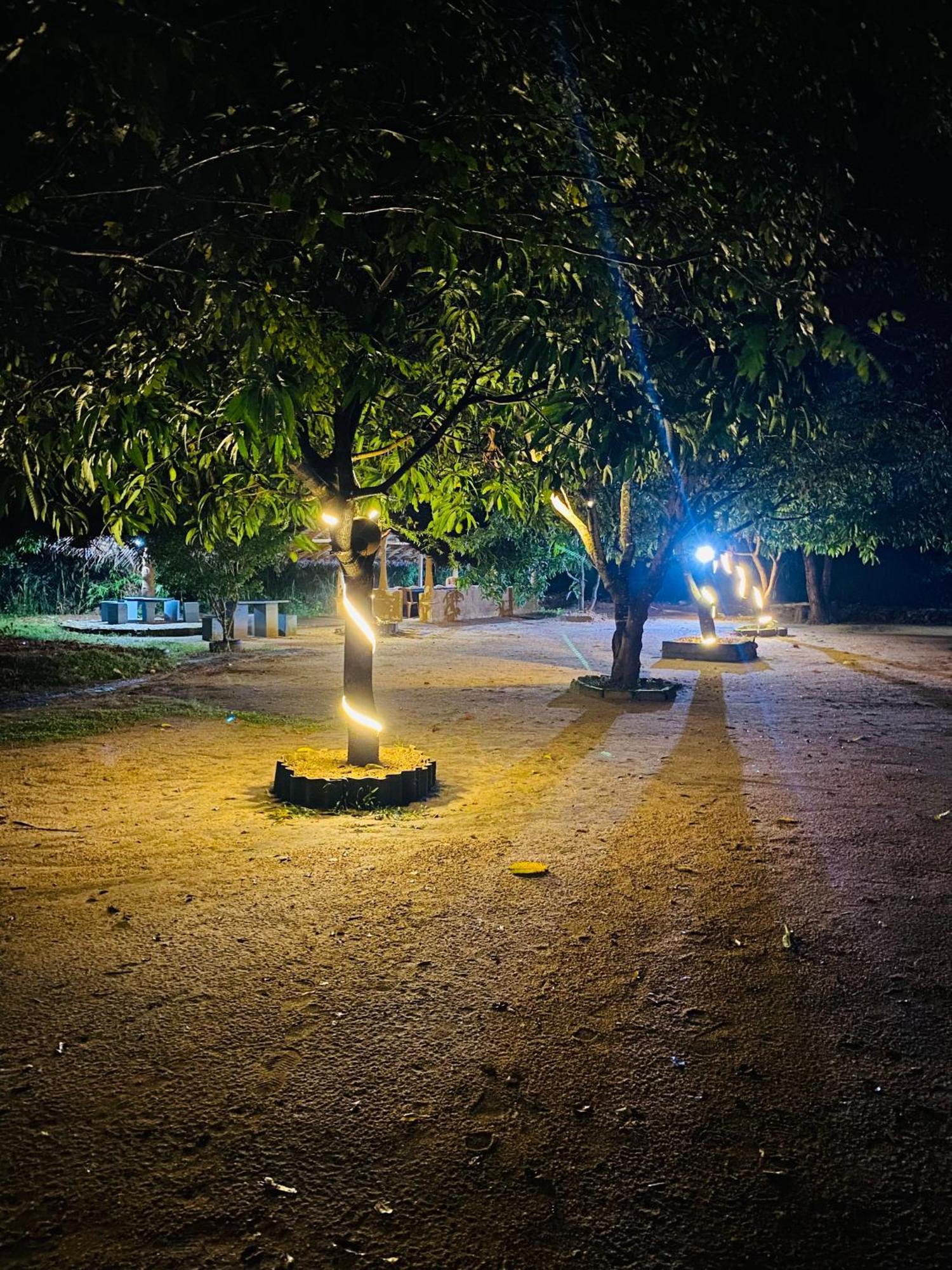 דמבולה Sigiriya Kingdom Resort מראה חיצוני תמונה