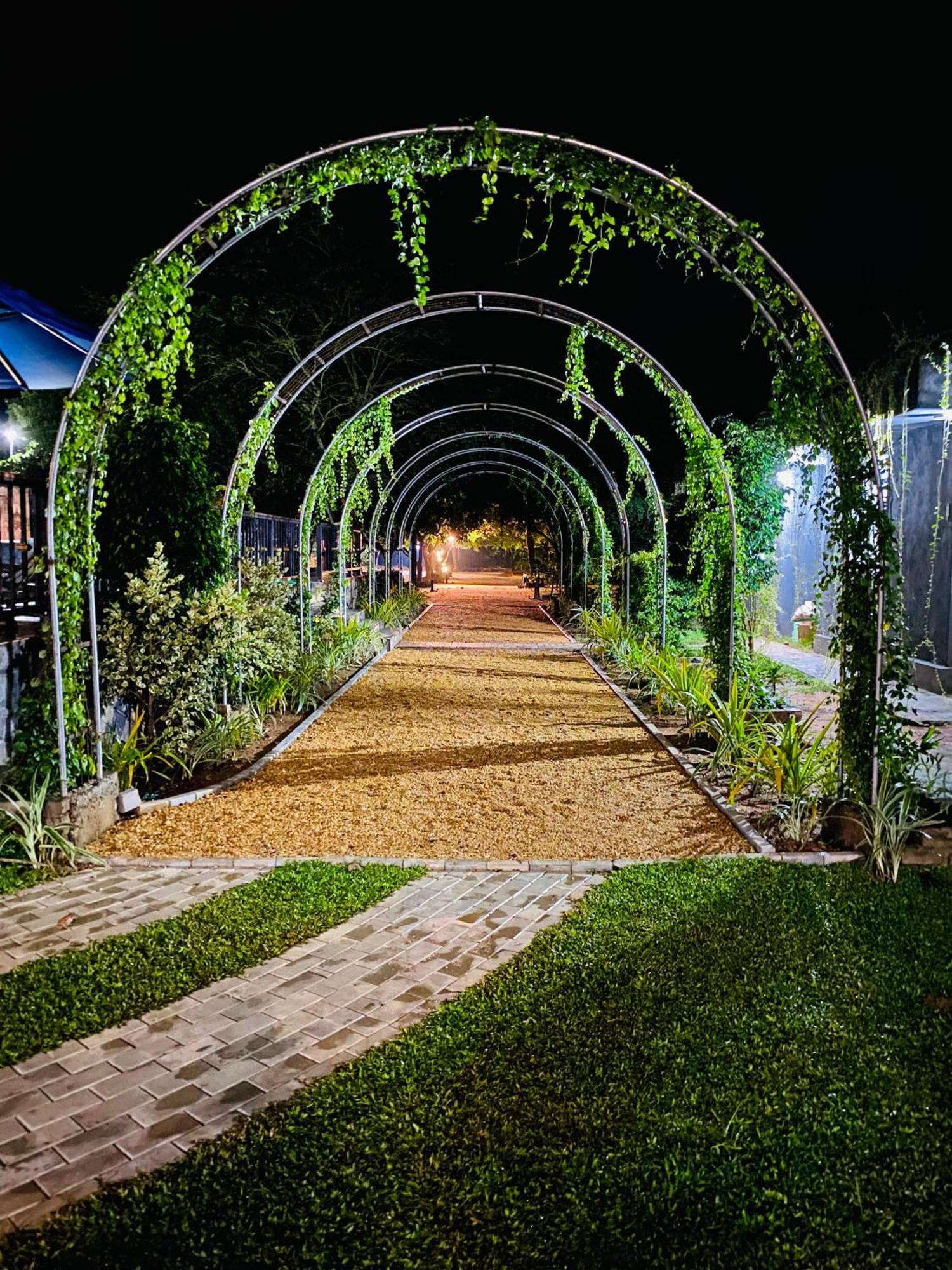 דמבולה Sigiriya Kingdom Resort מראה חיצוני תמונה